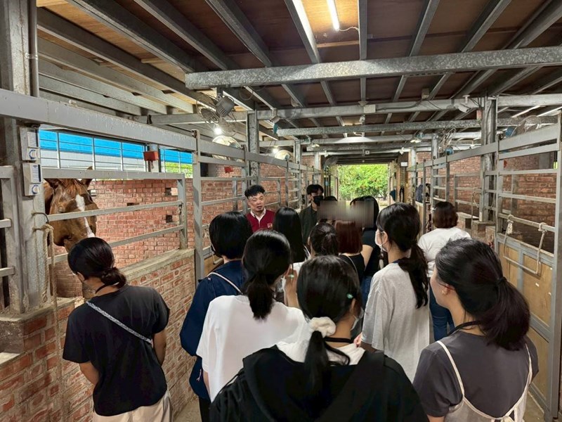 馬場馬事專業人員解說馬場環境