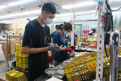 求職路轉個彎 幸福企業共茂相挺翻轉人生